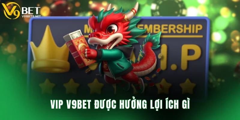 VIP V9BET được hưởng lợi ích gì